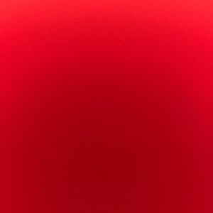 Meet your Posher, Mollie